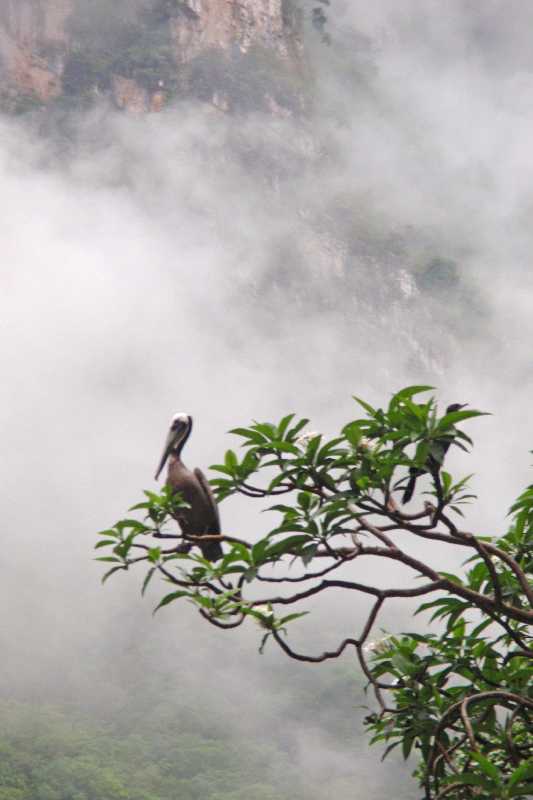 Mexico & Guatemala 2010 - 0374